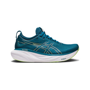 ASICS Gel Nimbus 25 Hint 1012B356-404 from 173,00 €