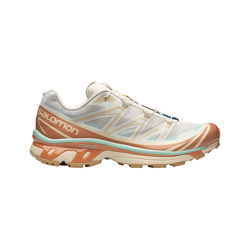 Salomon XT 6 Skyline Vanilla Ice Sun Baked L41629800 から
