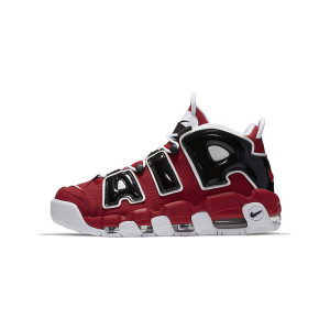 Air More Uptempo Bulls Hoops Pack 2017 2021