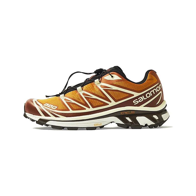 Salomon X End XT 6 Porcini L47424300 から 319,00 €