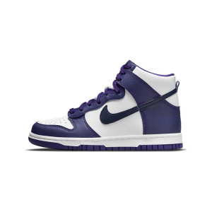 Nike Dunk Electro Midnght 0