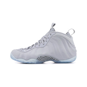 Nike Air Foamposite Wolf Suede 575420-007