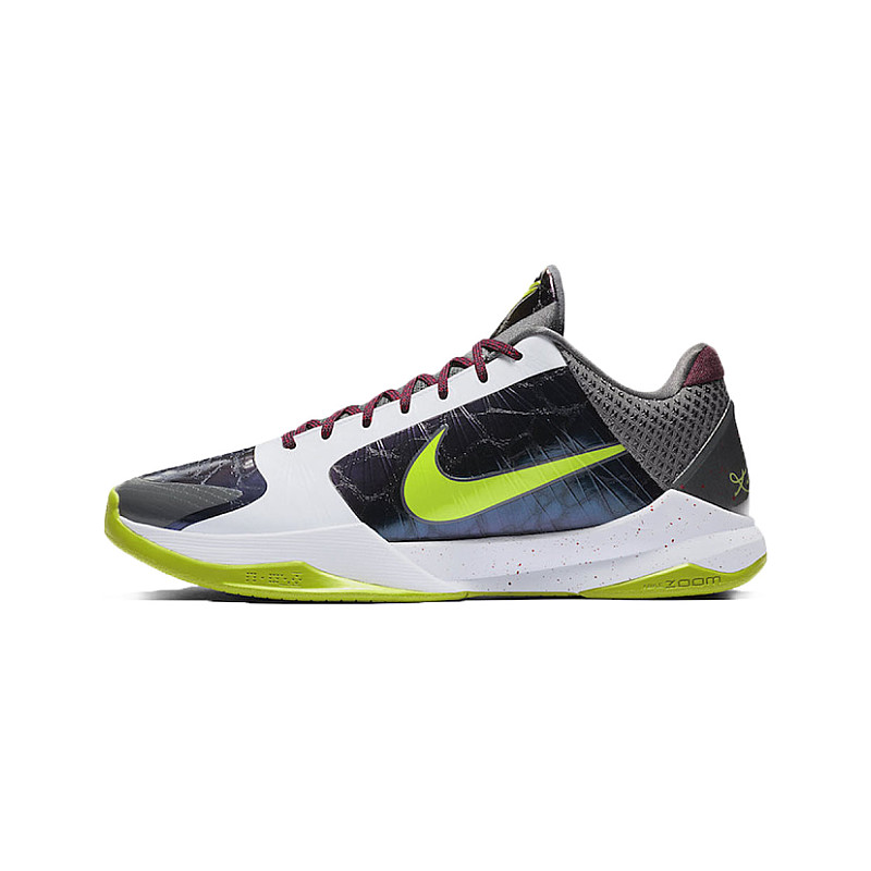 software raya Th Nike Kobe 5 Protro Chaos CD4991-100 desde 304,00 €