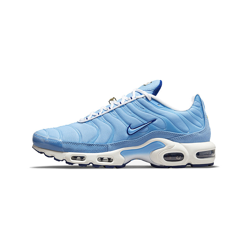 Fearless Joint selection straw Nike Air Max Plus First Use DB0681-400 from 273,00 €